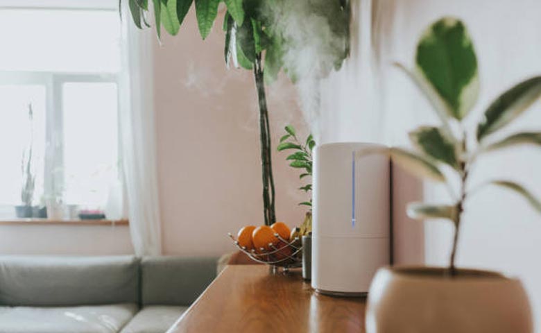 Types of Room Air Fresheners