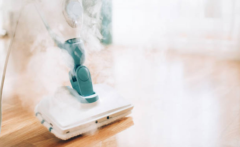 Steam Cleaner in Action